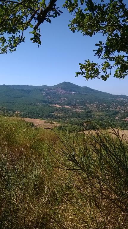 روكا دي بابا B&B Il Pantanello المظهر الخارجي الصورة
